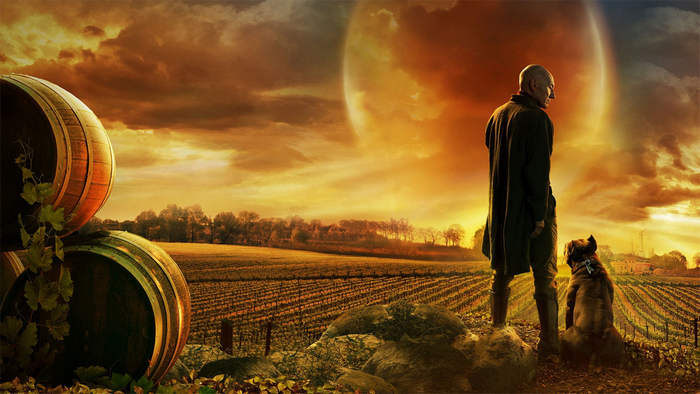 Постер сериала «Звёздный путь: Пикар»