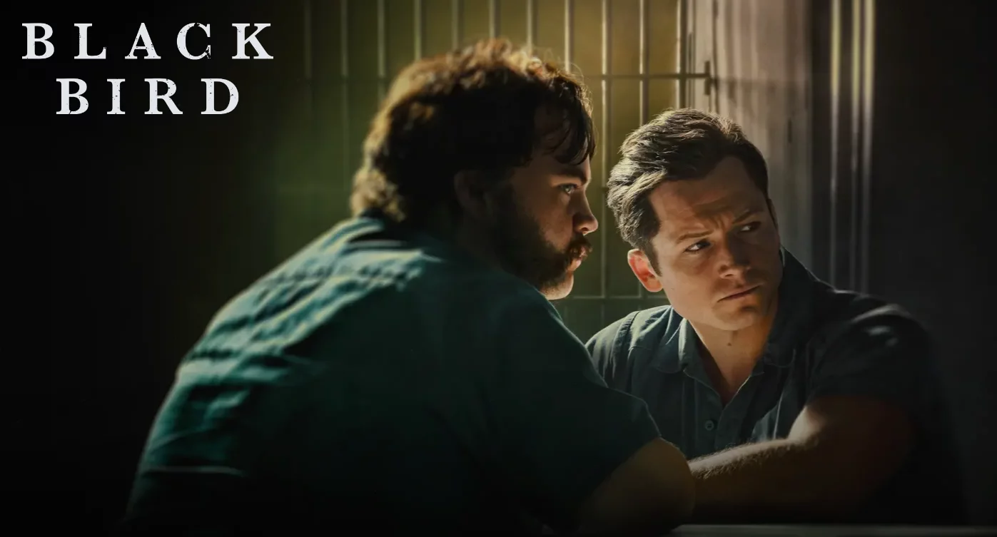 Постер сериала «Чёрная птица»