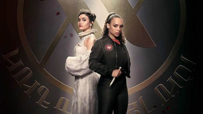 Постер сериала «Академия вампиров»