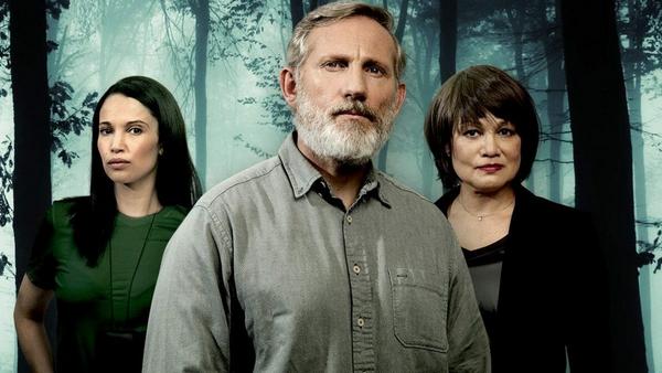 Постер сериала «Скворцы»