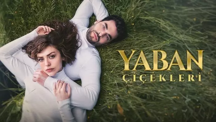 Постер сериала «Дикие цветы»
