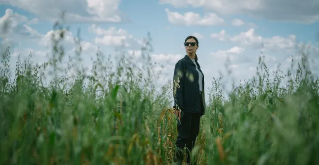 Постер сериала «Когда нас никто не видит»