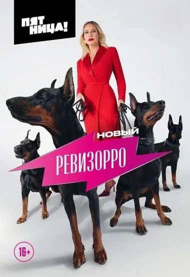 Постер сериала «Ревизорро»