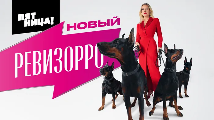 «Ревизорро»