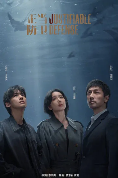 Постер сериала «Самооборона / Право на защиту»