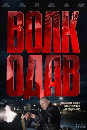 Постер сериала «Волкодав»