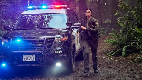 Кадр 2 из сериала Шериф округа