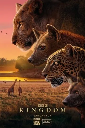 Постер сериала «Царство животных»