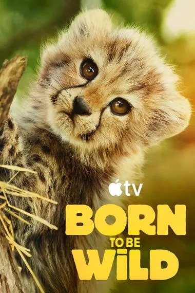 Постер сериала «Возвращение в дикую природу»