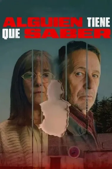Постер сериала «Кто-то должен это знать»