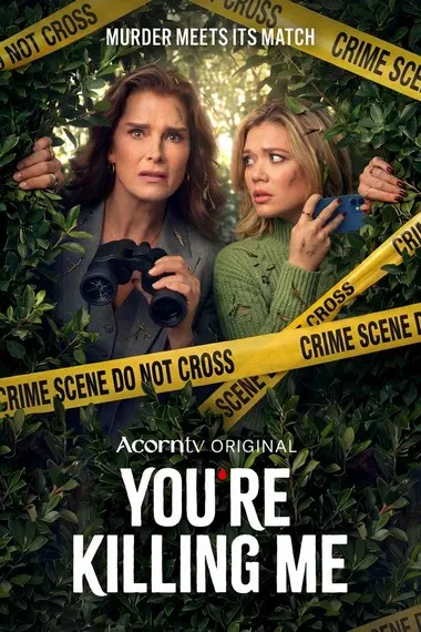 Постер сериала «Элли и Энди / Ты меня убиваешь»